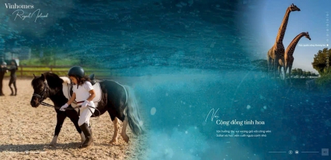 Sức hút của ‘thủ phủ’ du lịch mới tại Thành phố Đảo Hoàng Gia Vinhomes Royal Island Vũ yên